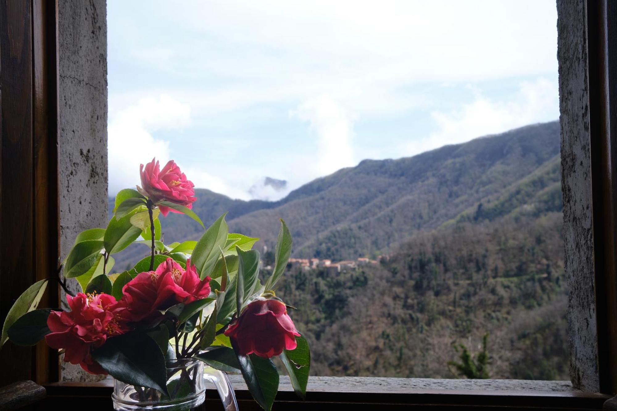 Il Frutteto Natura A Relax Stazzema 외부 사진
