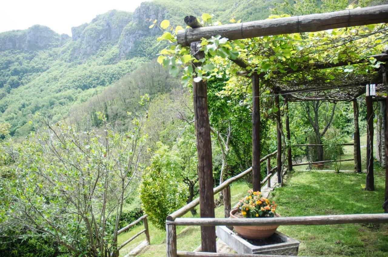 Il Frutteto Natura A Relax Stazzema 외부 사진