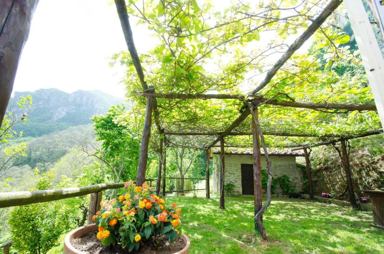 Il Frutteto Natura A Relax Stazzema 외부 사진
