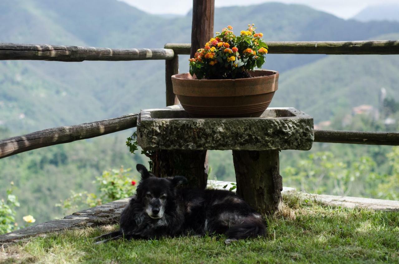 Il Frutteto Natura A Relax Stazzema 외부 사진