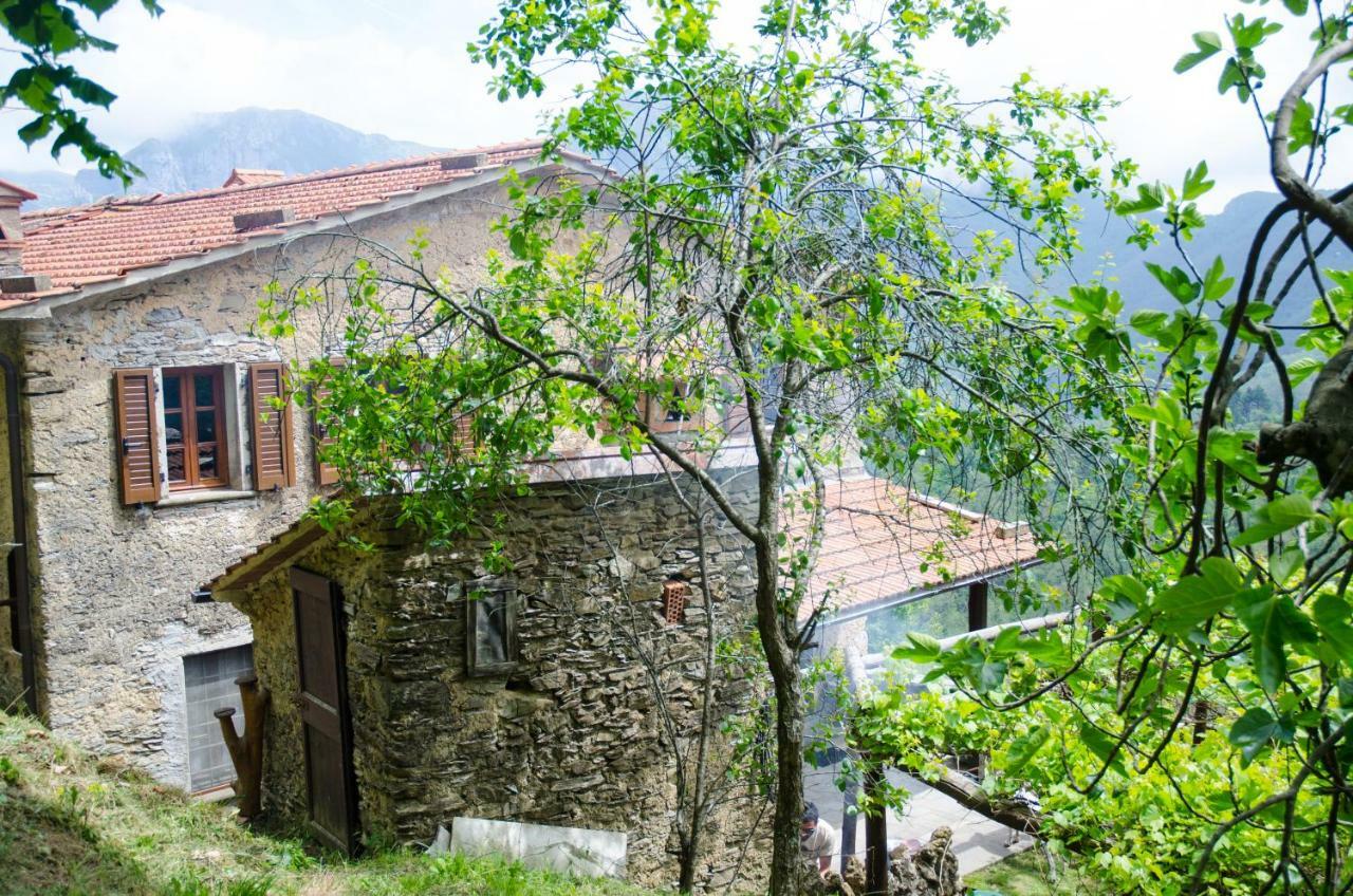 Il Frutteto Natura A Relax Stazzema 외부 사진