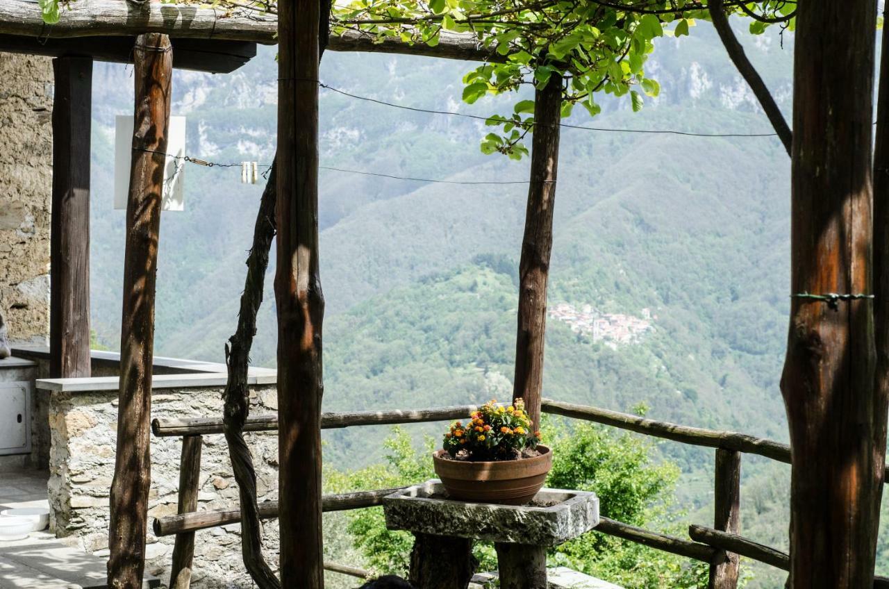 Il Frutteto Natura A Relax Stazzema 외부 사진